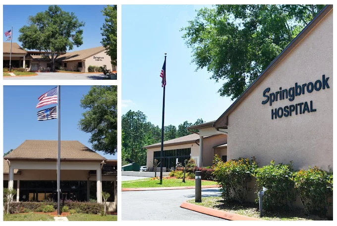 Springbrook Mental Health Hospital